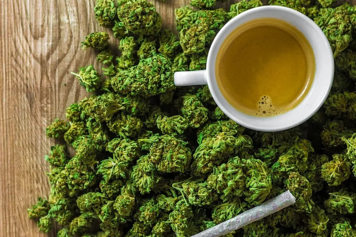 How to Choose the Right CBD Edibles for Your Needs Hempire Gardens