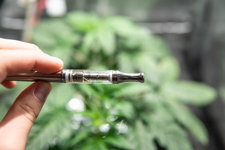 A Beginner's Guide to THCP Vapes: Tips, Safety, and Benefits HempireGardens A Beginner's Guide to THCP Vapes: Tips, Safety, and Benefits HempireGardens