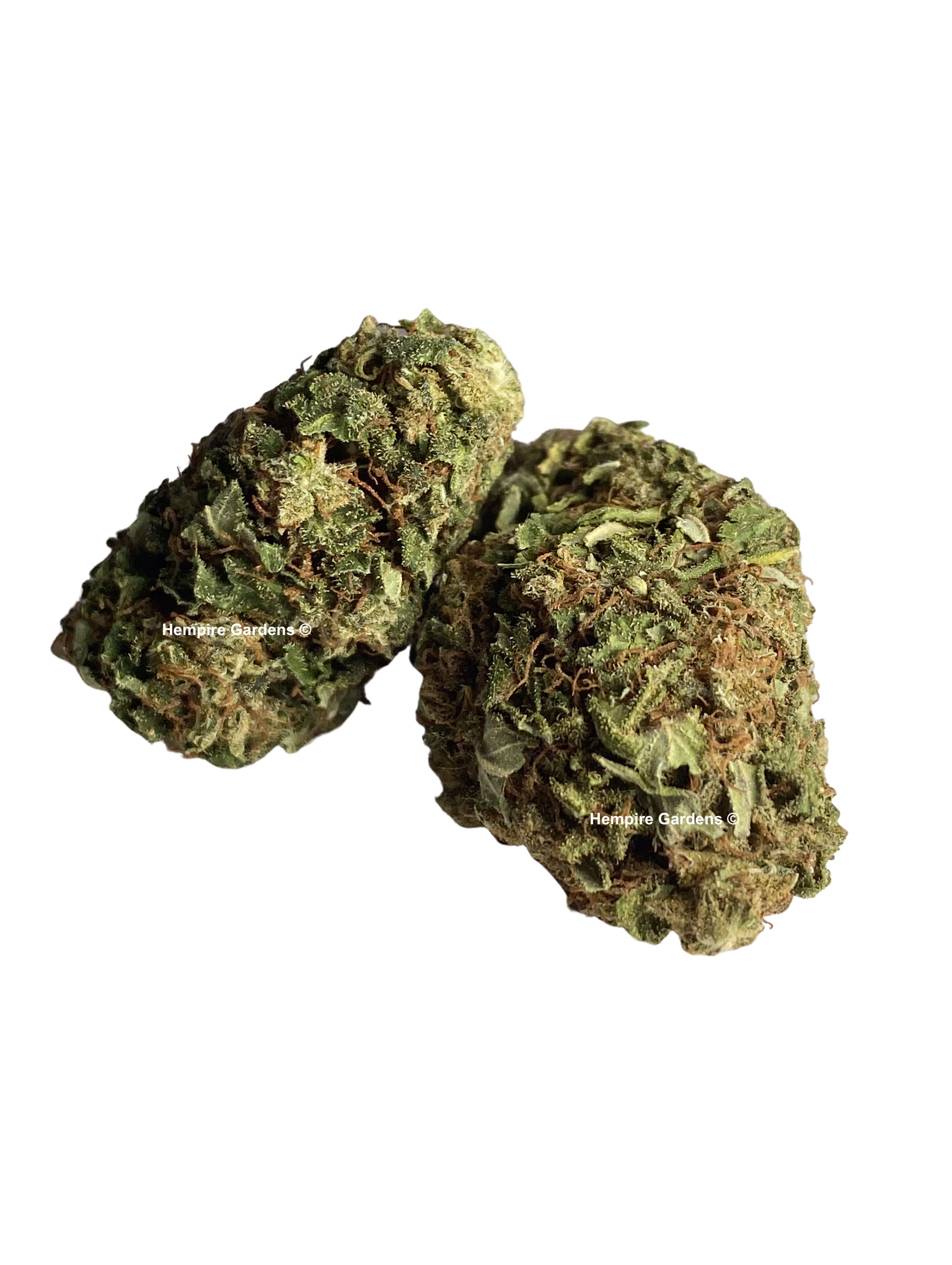 CBD Flower