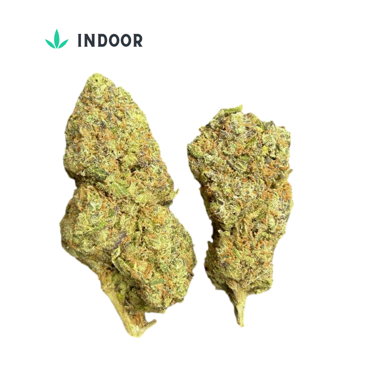 Indoor Pineapple Haze CBD Flower Delivery to Europe & UK Hempire