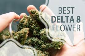 Delta 8 - Kaufen Sie Delta 8 Flower in Irland