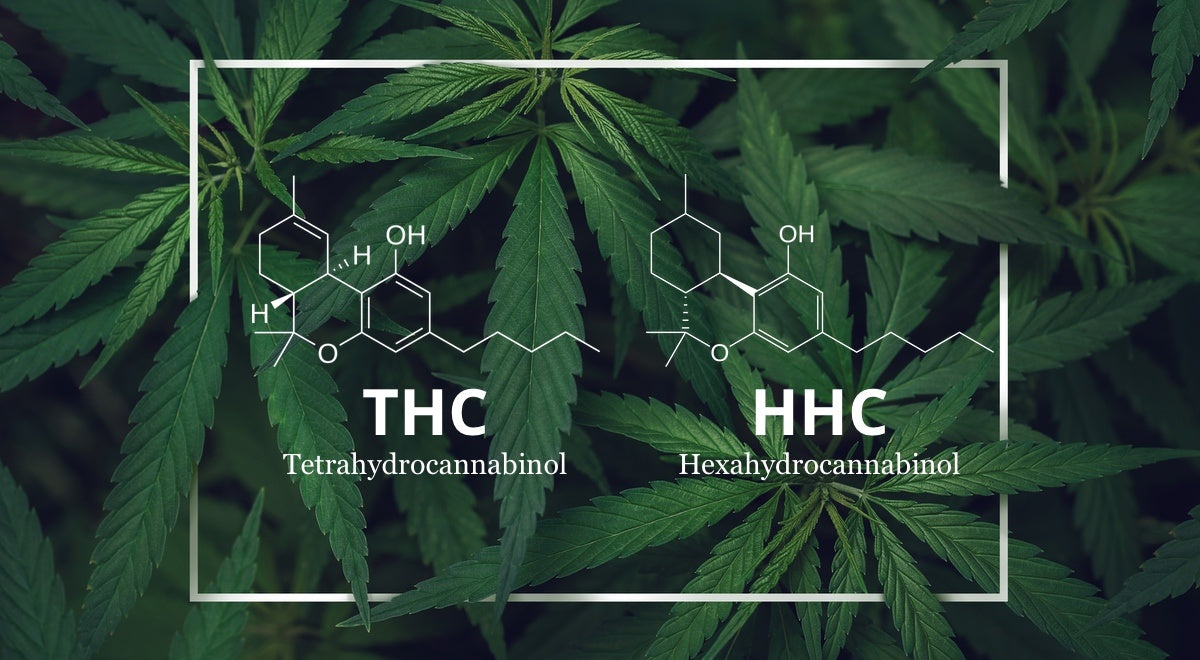 HHC vs THC: What's the Difference and Why Does it Matter?