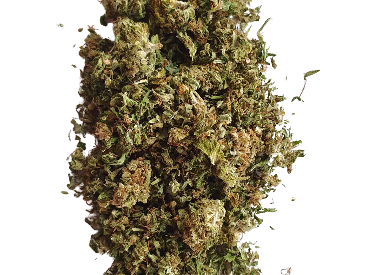 Close-up of green CBD shake with visible trichomes