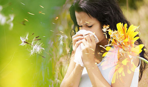 CBD (Cannabidiol) and Hay Fever