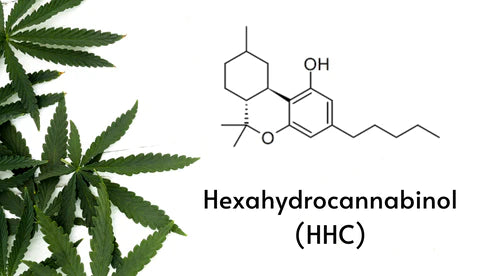 HHC-Blume zur Schmerztherapie