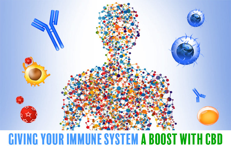 Boost Your Immunity with CBD