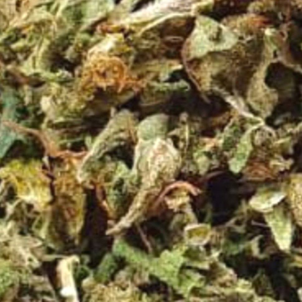 LUSCIOUS GREEN, SPICY, EARTHY NOTES