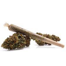 CBG (CANNABIGEROL) - CBG (CANNABIGEROL) PRE-ROLLS ARE AVAILABLE TO BUY IN ITALY NOW