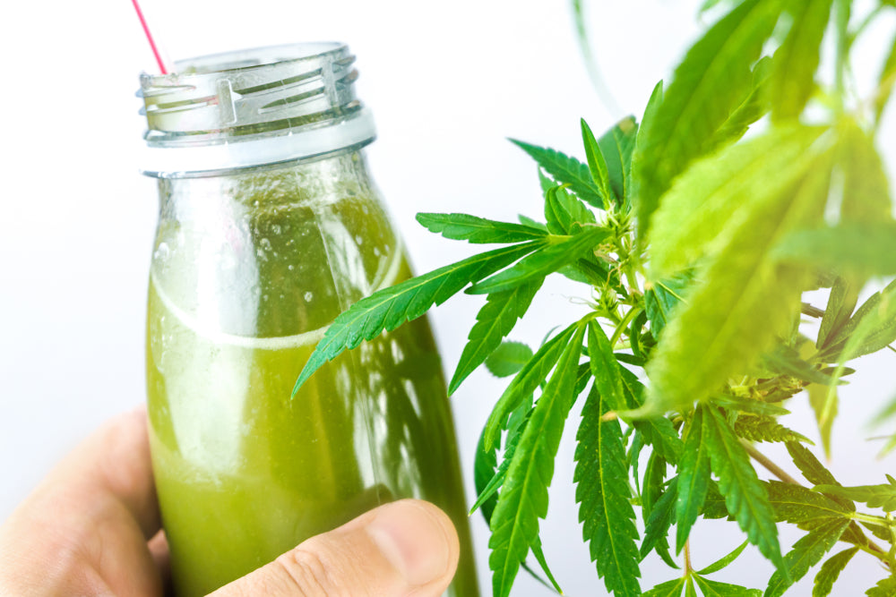 El mercado de bebidas con infusión de CBD sigue creciendo