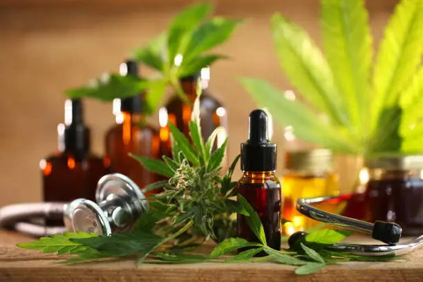Unlocking the Green Elixir: The Comprehensive Guide to CBD Oil