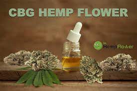 CBG (CANNABIGEROL) - BUY CBG FLOWER IN ITALY