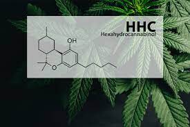 HHC (hexahydrocannabinol) - HHC (hexahydrocannabinol) is a psychoactive cannabinoid derived from the cannabis plant