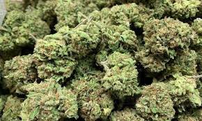 CBG CANNABIGEROL - BUY CBG CANNABIGEROL IN IRELAND NOW