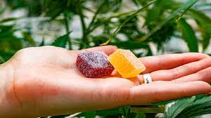 CBG (CANNABIGEROL) - CBG EDIBLES ARE AVAILABLE TO BUY ONLINE IN ITALY