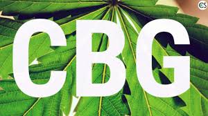 CBG (CANNABIGEROL) - CBG IS A POWERFUL CANNABINOID DERIVED FROM THE HEMP PLANT