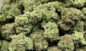 Delta 8 - Delta 8 flower is available to buy online in The Netherlands