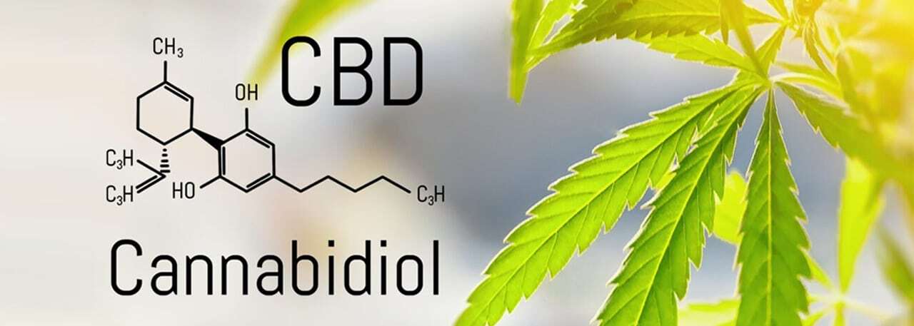 CBD Flower vs. Other CBD Products: What UK Consumers Need to Know