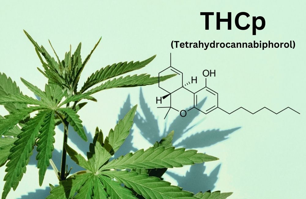 What Is THCP? A Comprehensive Guide for European Cannabinoid Enthusiasts