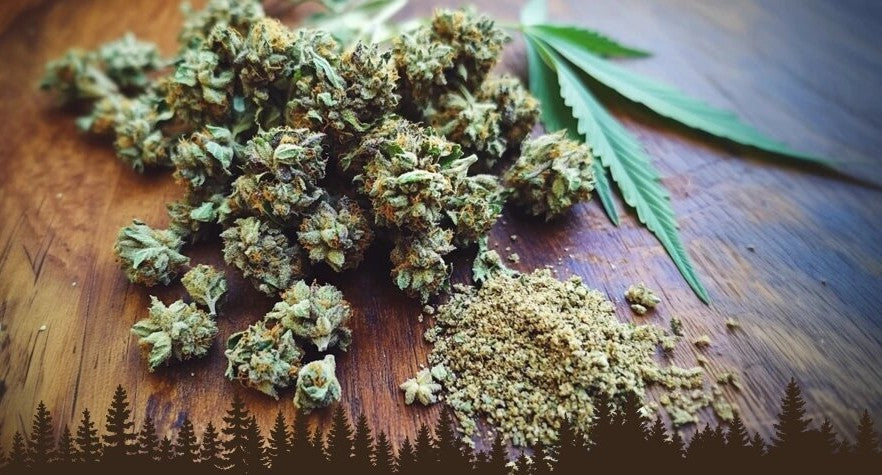 CBD Shake vs CBD Flower: What’s the Difference and Which Should You Buy in the EU?