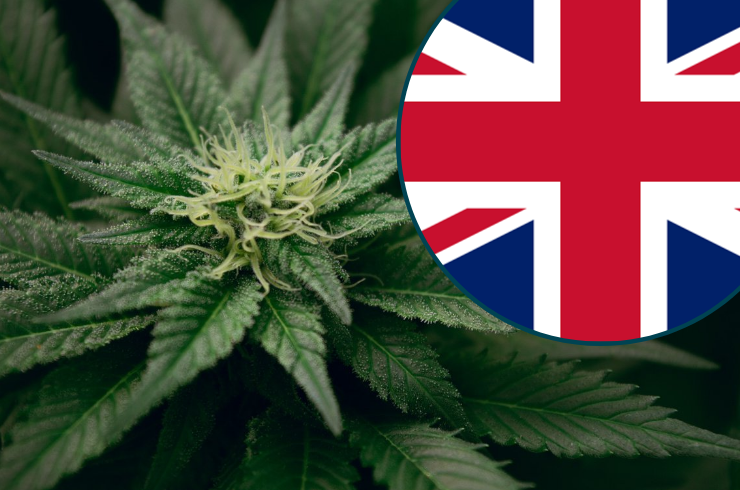 Are Hemp Smoking Products Legal in the UK? 2025 Law Update