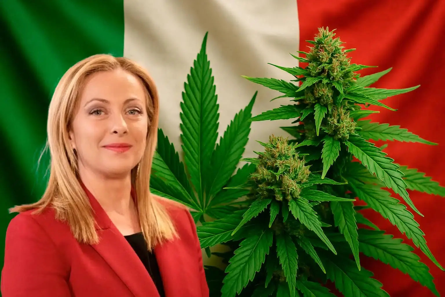 Italian Ban on CBD Flower: What It Means for European Consumers and Retailers