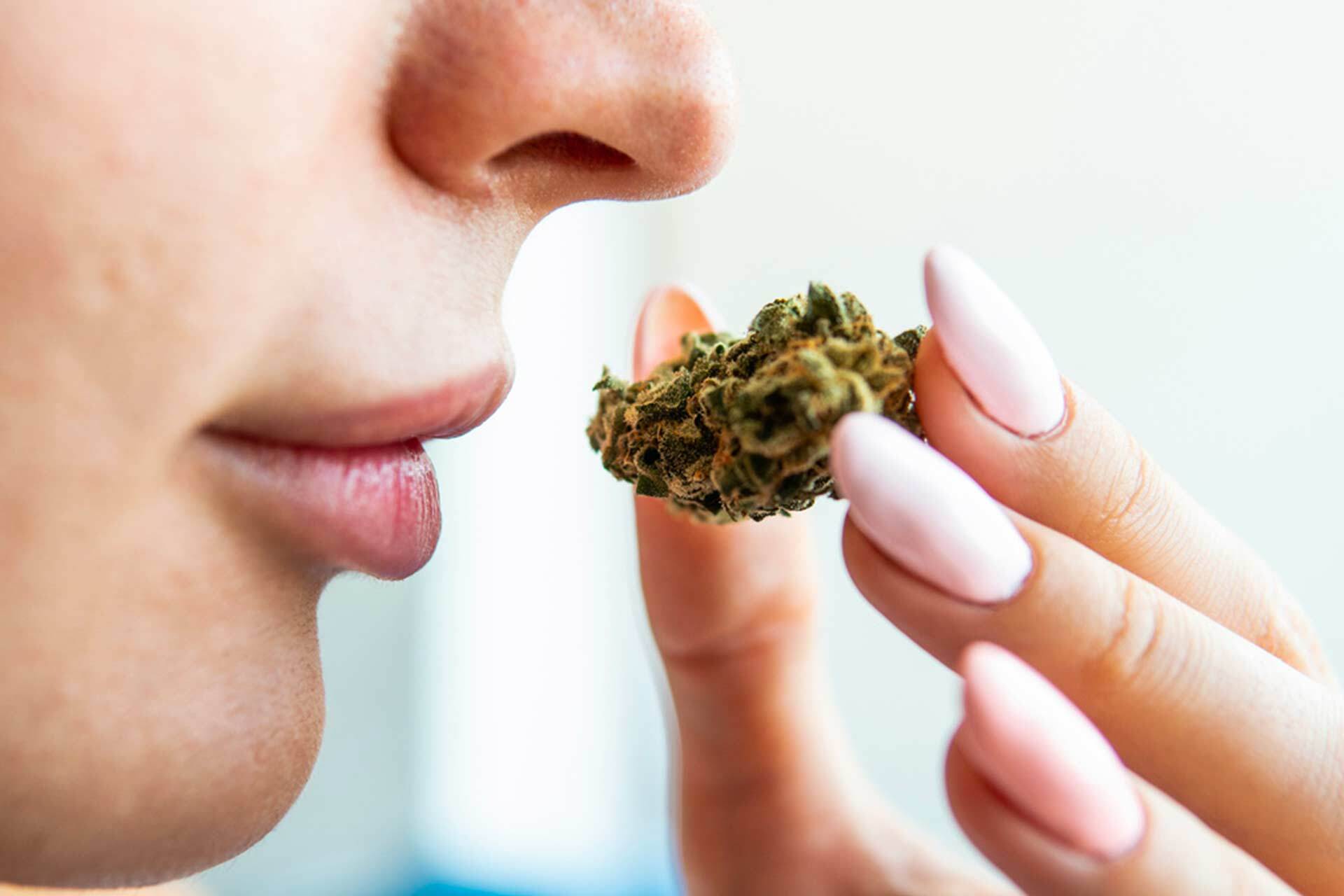 Can You Smoke CBD Flower? Benefits, Safety, and Best Practices
