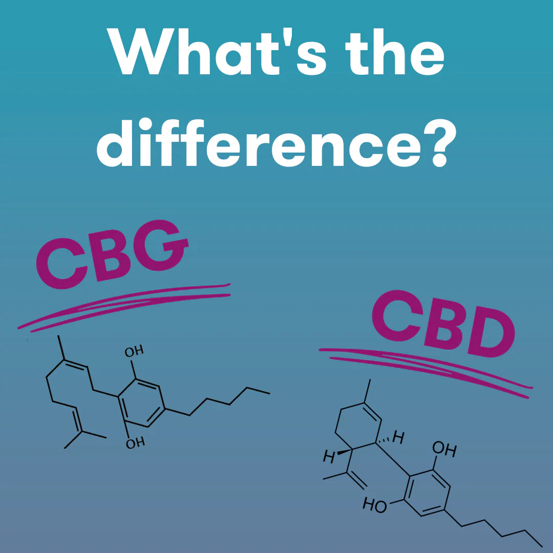 What’s the Difference Between CBD and CBG?