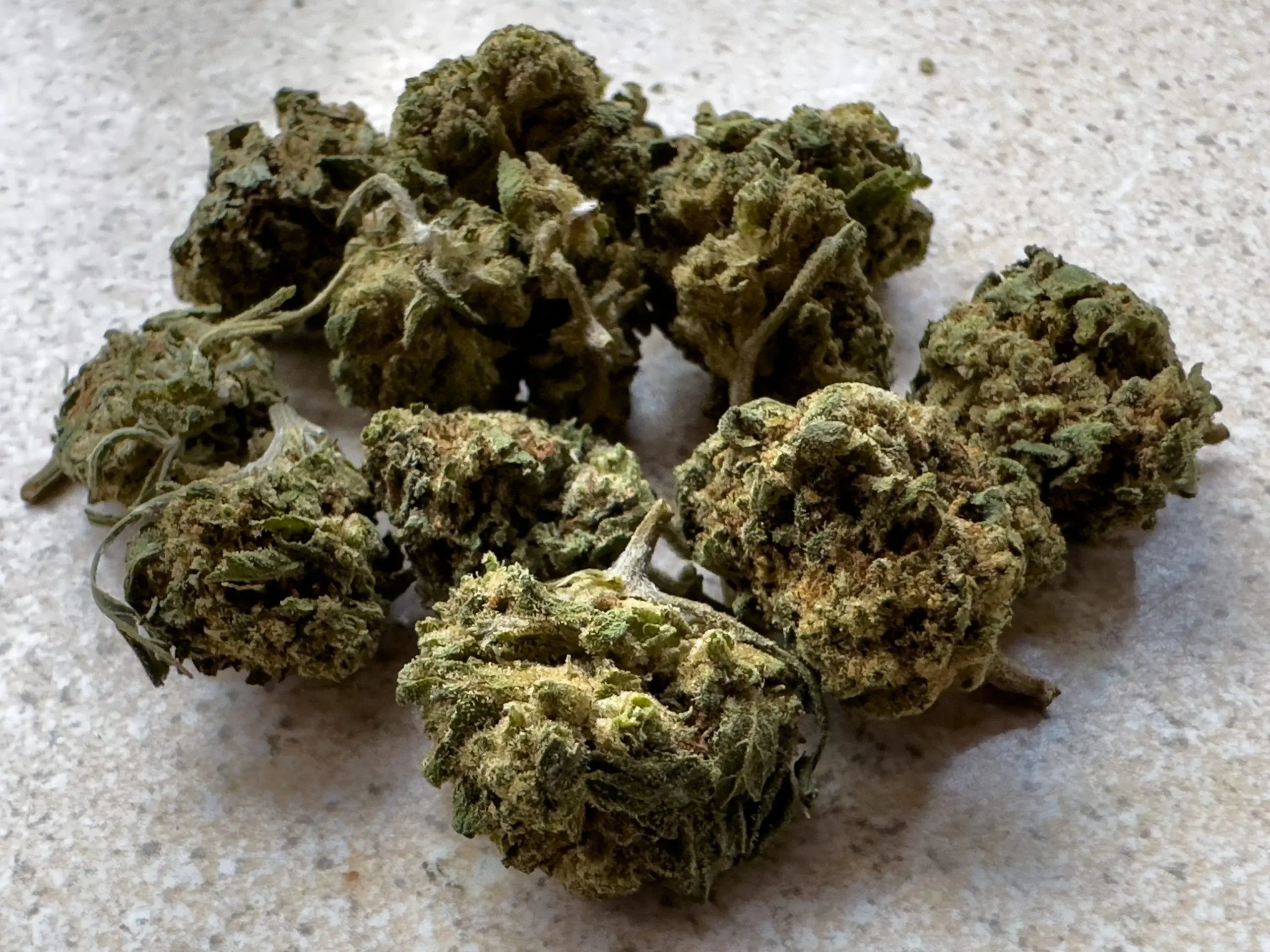 What to Look for When Buying CBD Flower Online in Europe