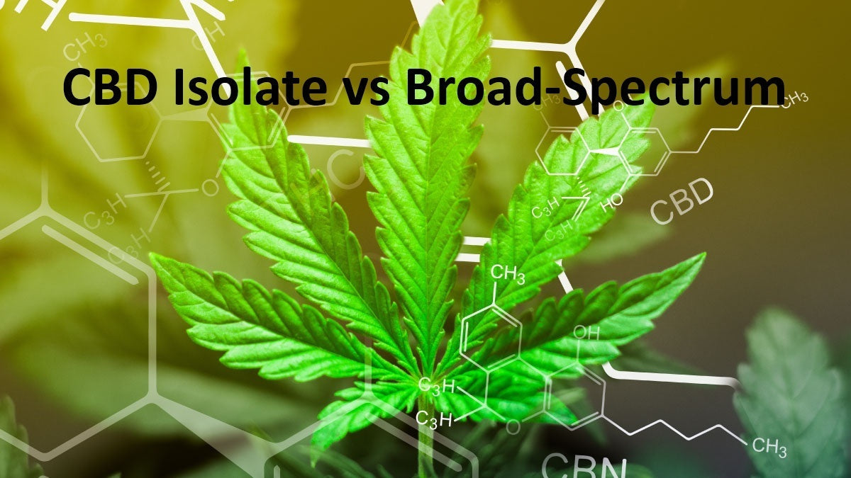 CBD Isolate vs Broad-Spectrum: What’s Better for Anxiety or Pain?