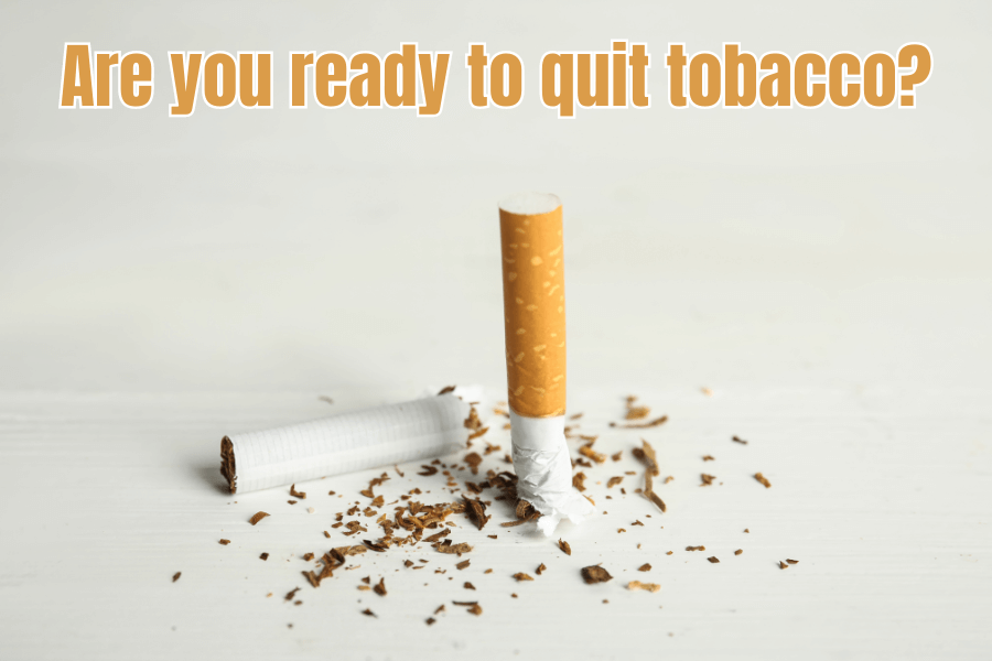Quitting Tobacco? Discover the Best Herbal Blends for a Smoother Transition