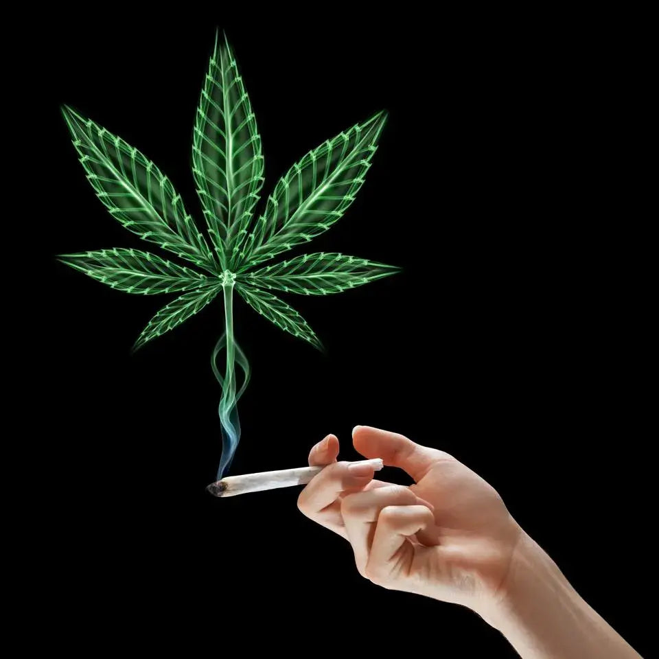 EU Smokers Shift to Plant-Based Tobacco Alternatives — What’s Driving the Change?