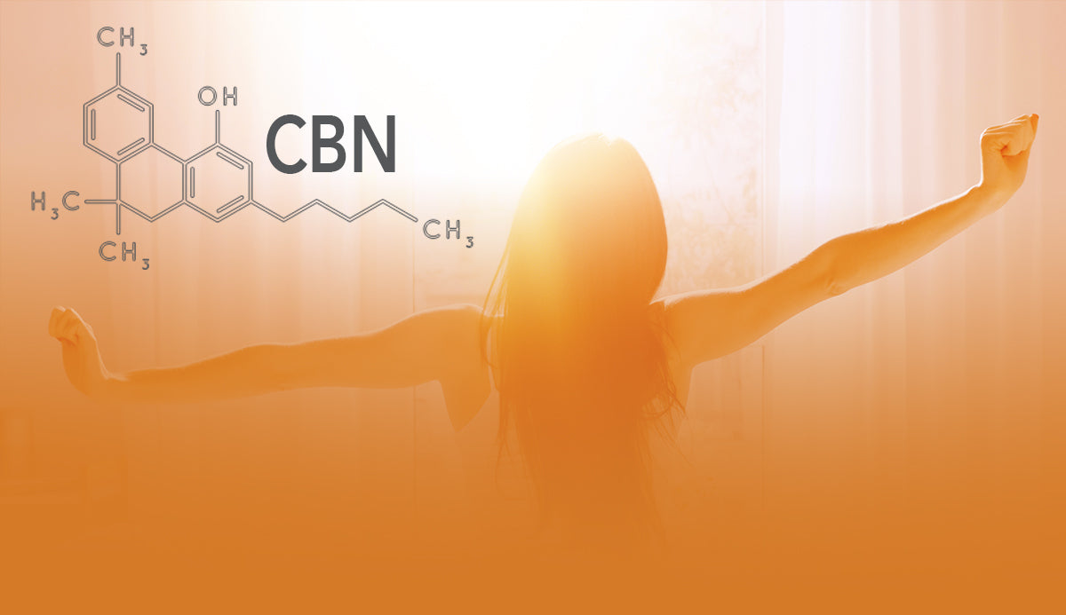 Why CBN Distillate Is the Future of Sleep Products in the Wellness Industry