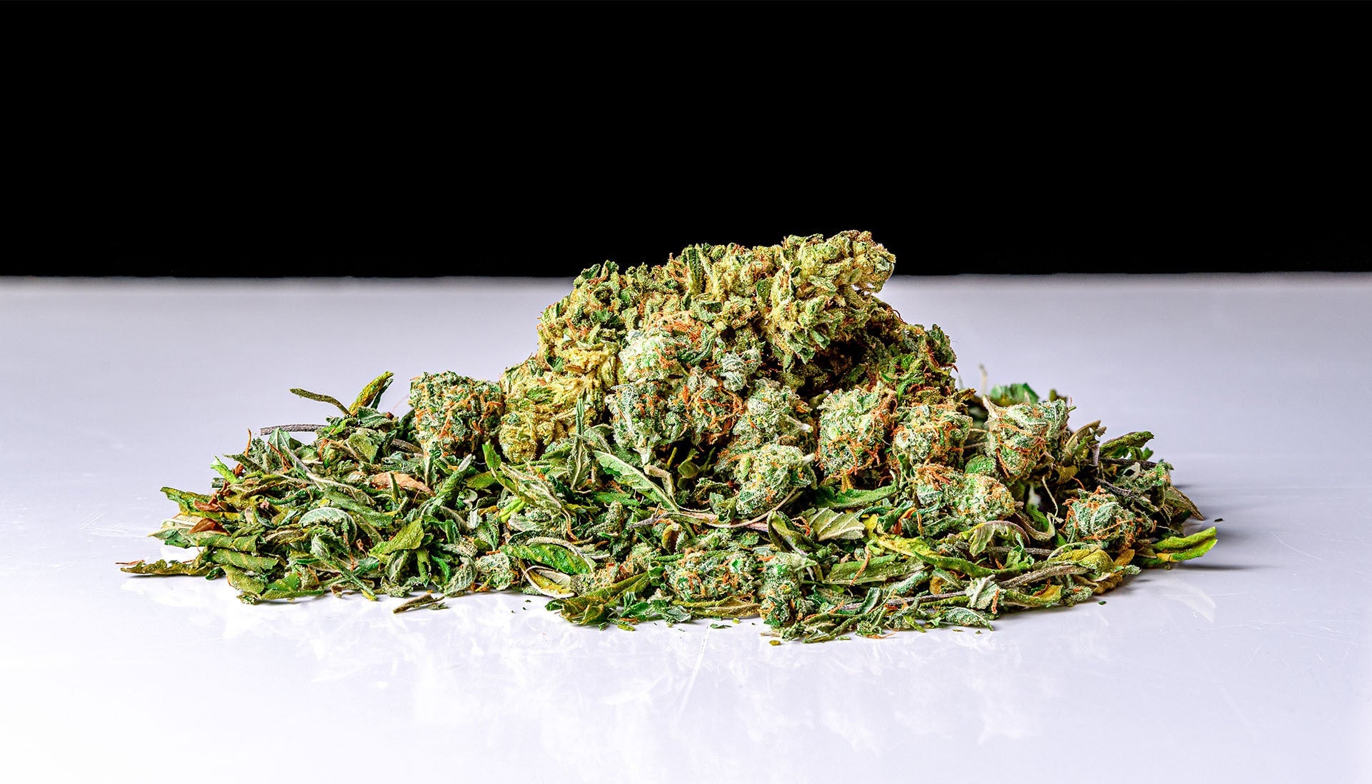 CBD Hemp Shake 101: Everything You Need to Know for UK Consumers