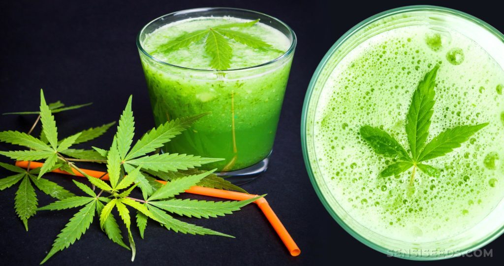 Top 7 Uses of CBD Shake in 2025: A Budget-Friendly Hemp Option in the EU