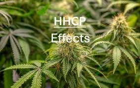 HHCP Effects: What Does It Feel Like and How Long Does It Last?