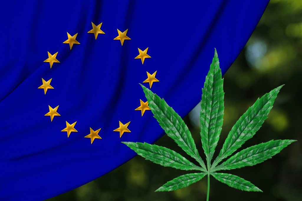 CBD Flower in Europe: Legal Status, Best Strains &amp; Where to Buy in 2025