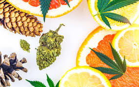 Top-Selling Terpenes Across Europe: Trends Driving Consumer Demand
