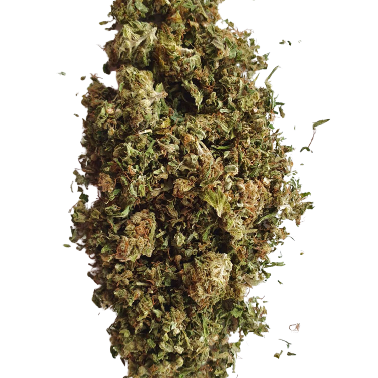CBG (cannabigerol) - CBG (cannabigerol) Shake available online in Germany