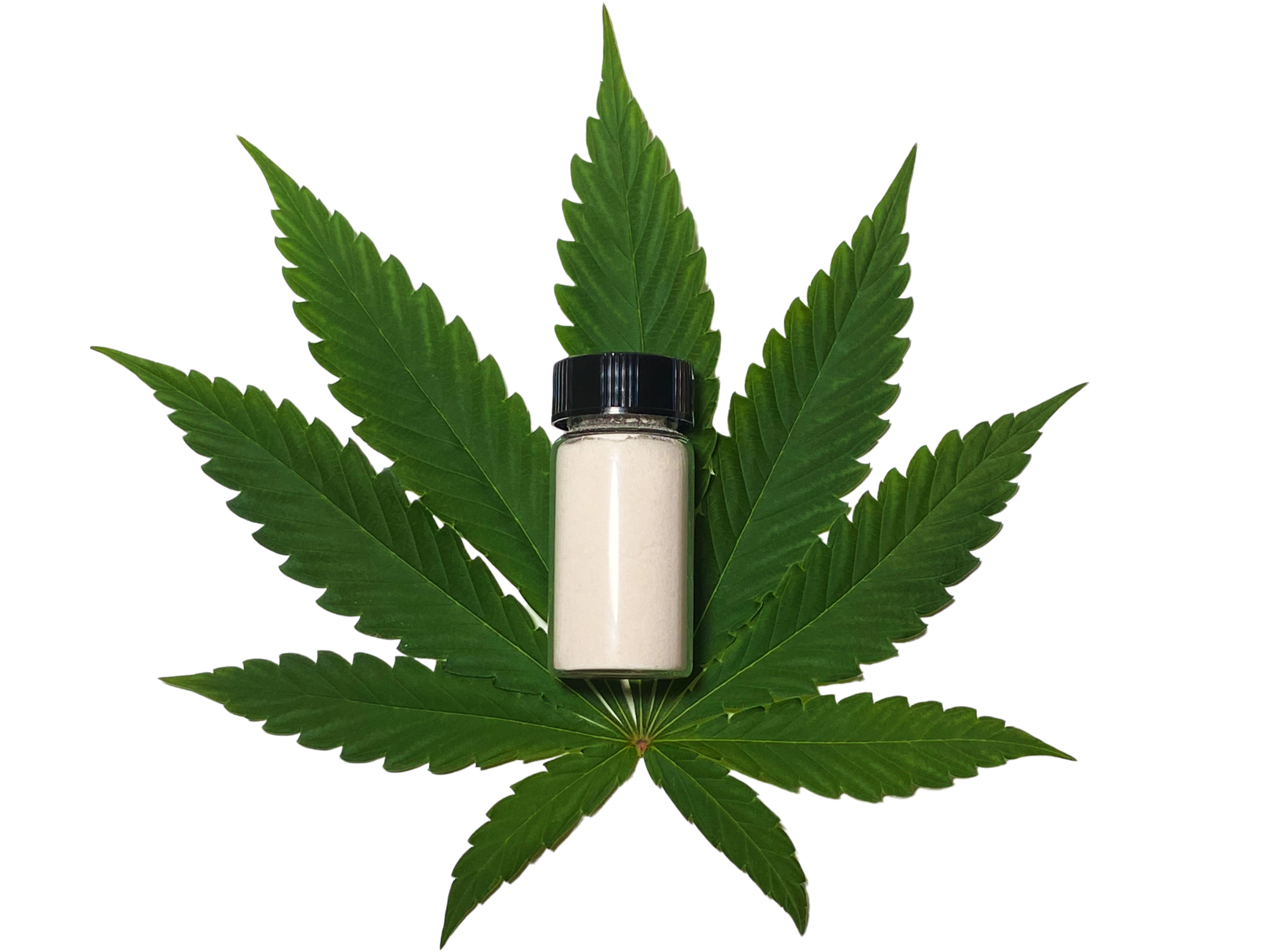cbd isolate UK