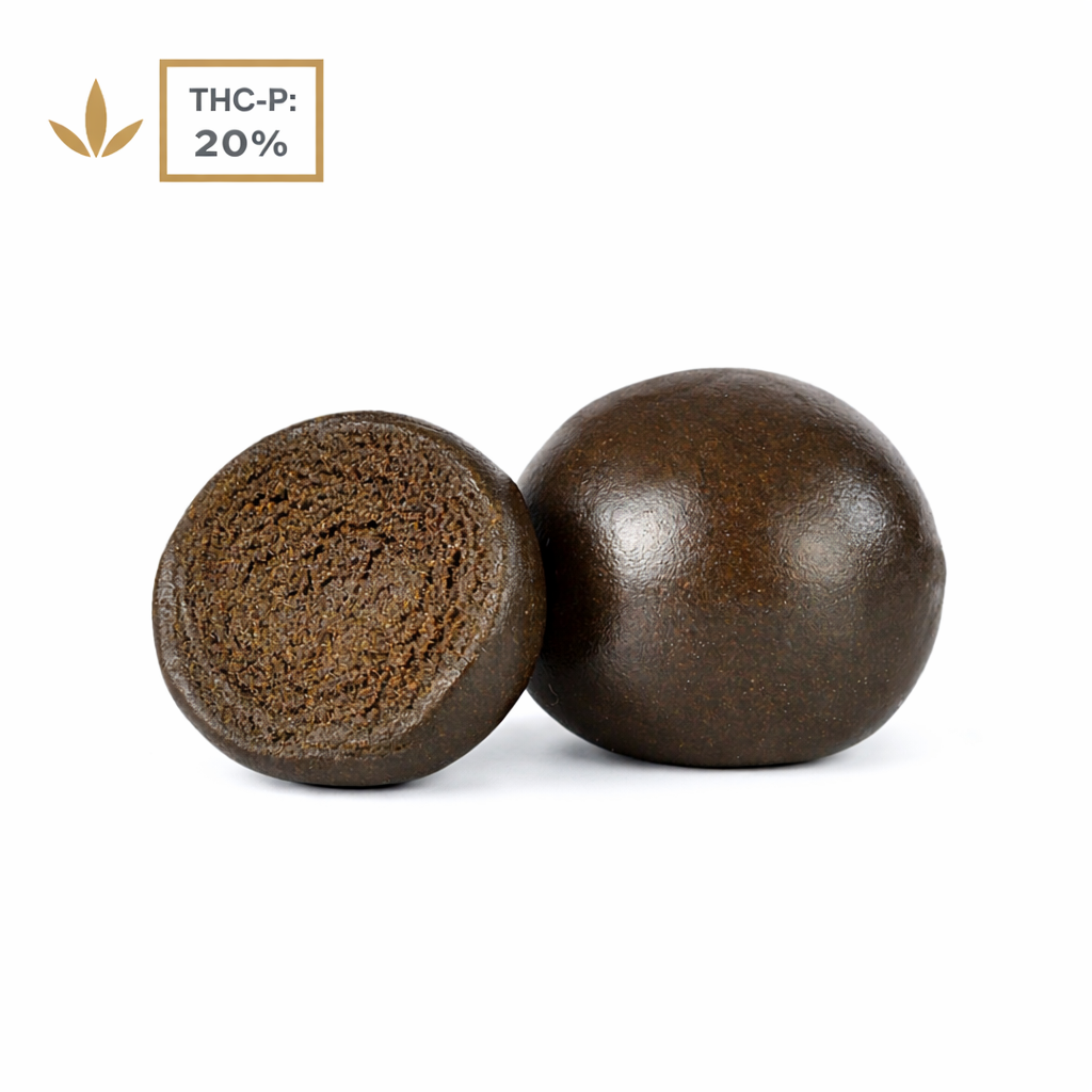 THCP Nepalese Temple Ball - Hempire Gardens