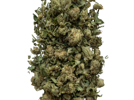 Premium 13-14% CBG Shake/Trim - Hempire Gardens
