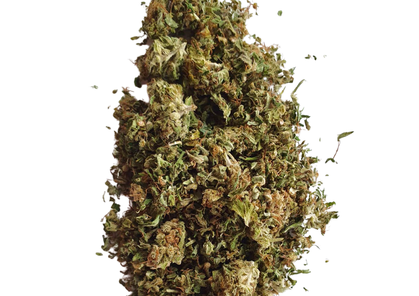 HHC Shake / Trim Blueberry Cookies