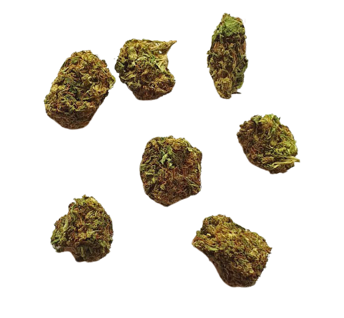 RNTZ x Small Premium CBD Buds