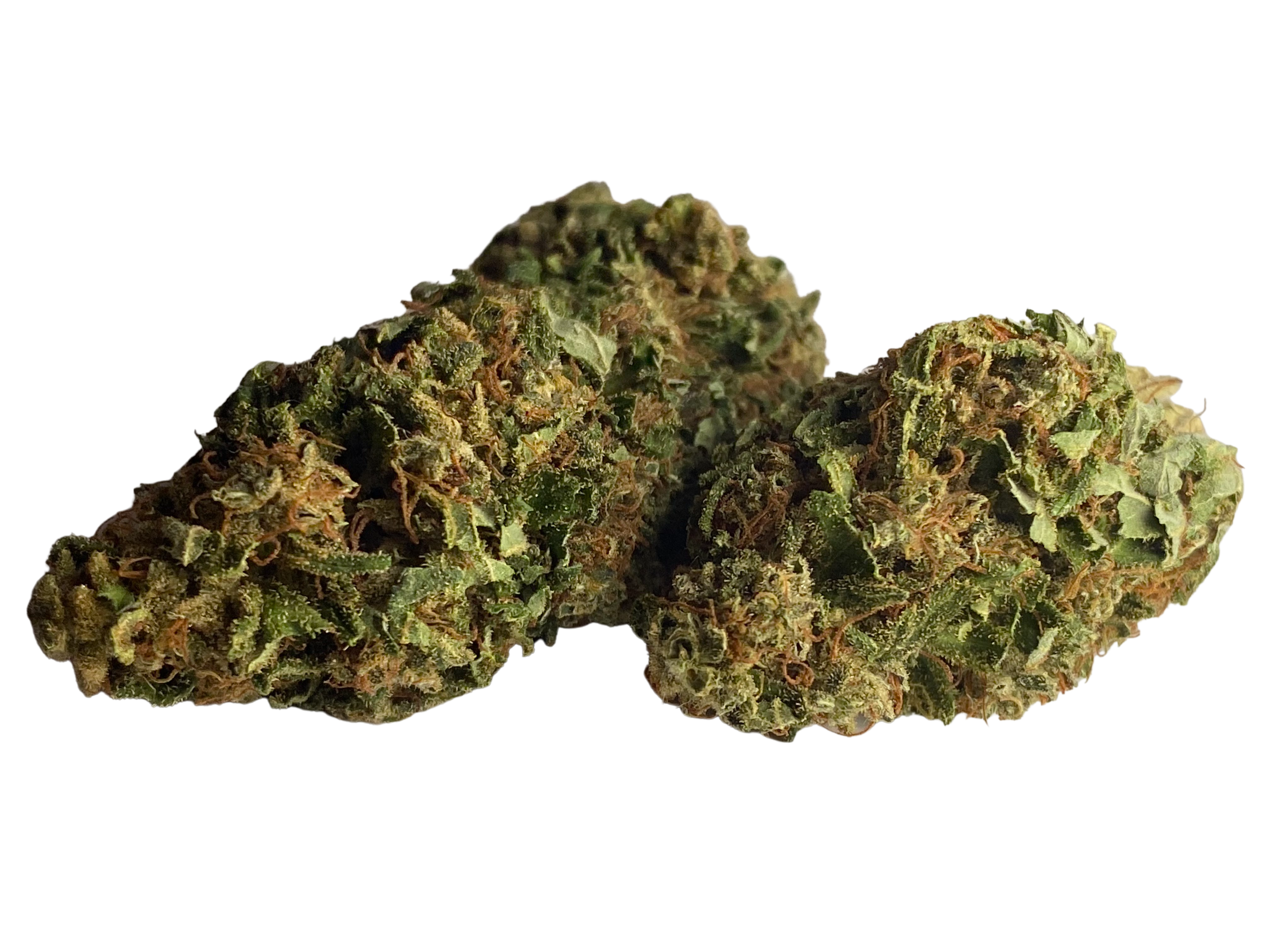 Super Silver Haze Strain