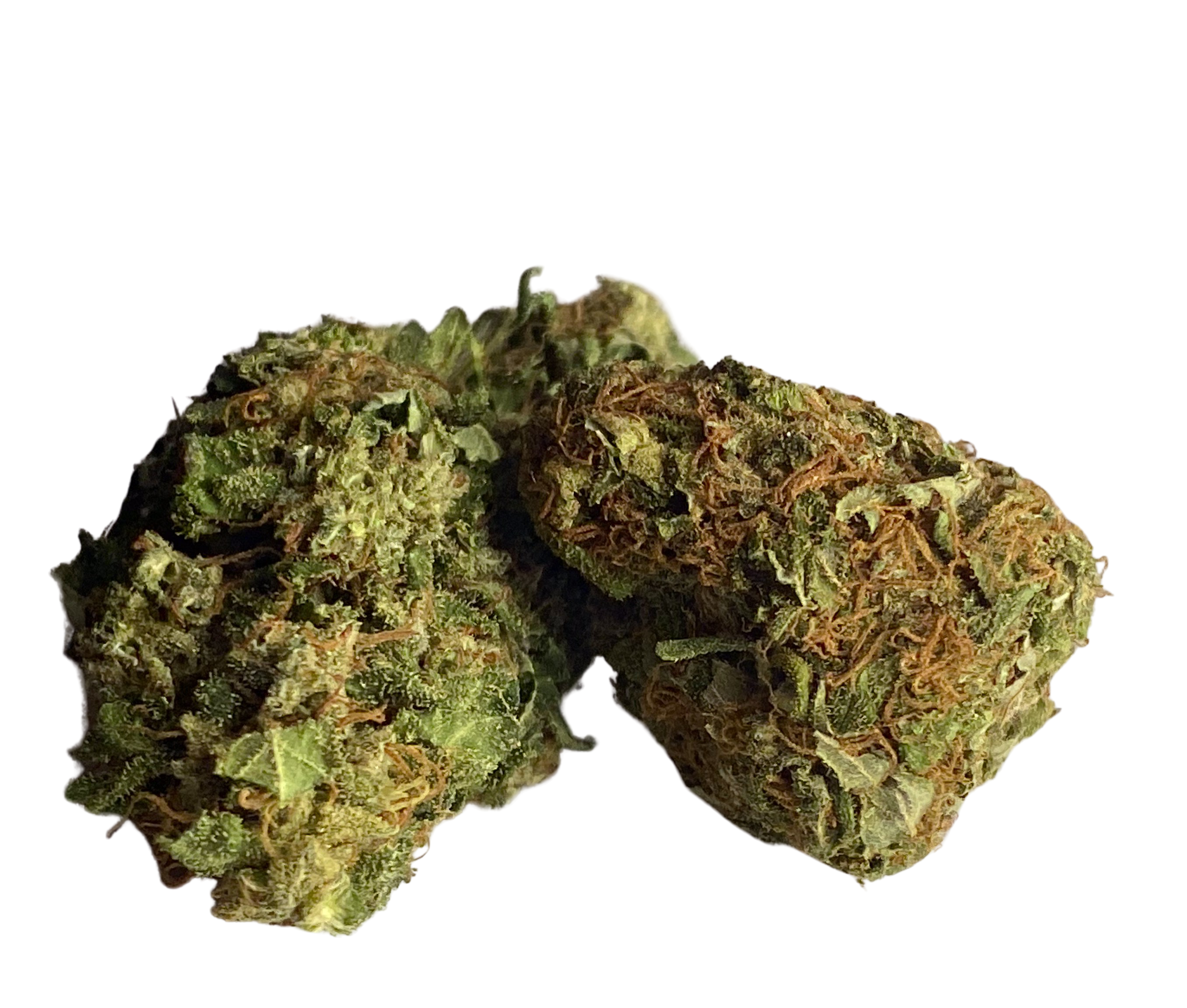 OG Kush Strain